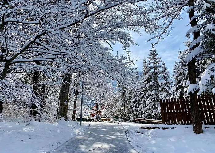 Happy Place Poiana Brasov