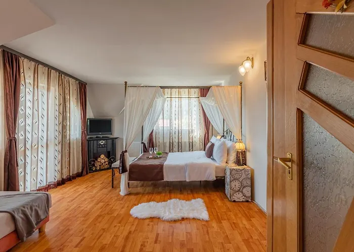Rose Apartment Sighişoara