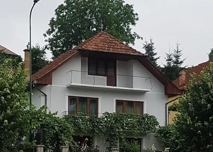 Apartamento Madalina Braşov admite animales