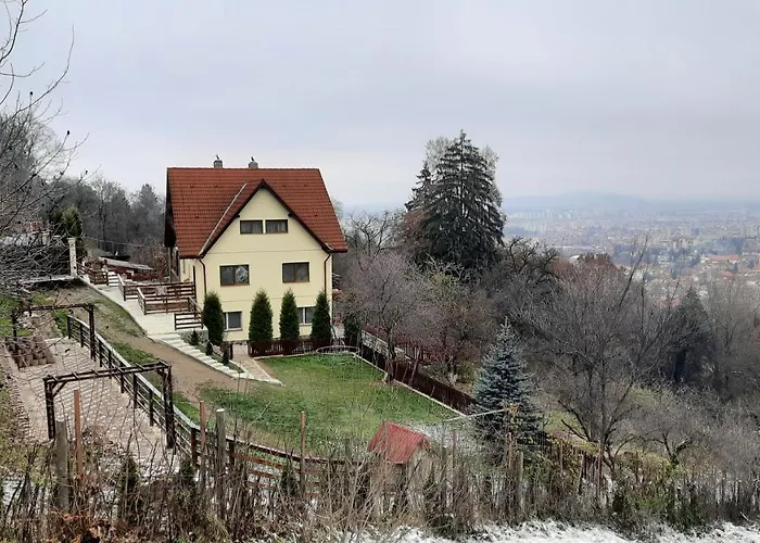Pet friendly Apartament Matei Brasov