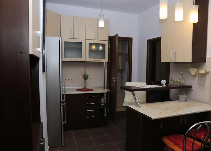 Pet friendly Balcescu Alina'S Apartament Sibiu