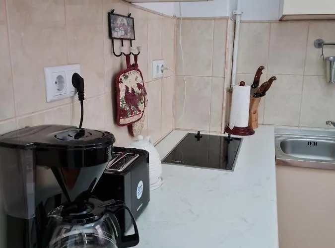 Ferienwohnung Ava Republique Brașov