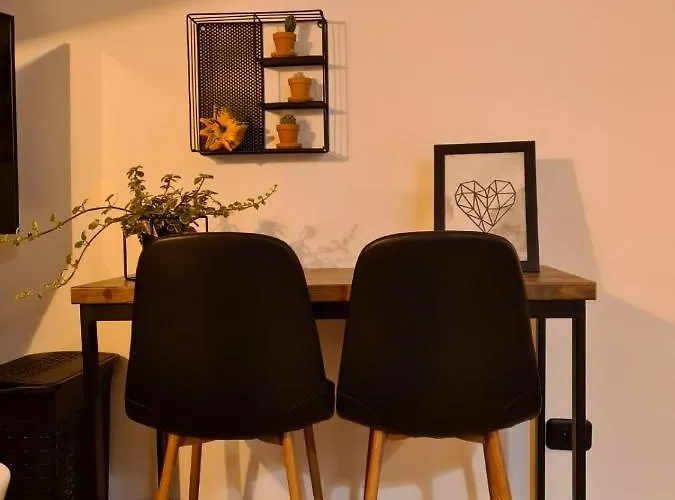 Colfly Studios Braşov che accetta animali