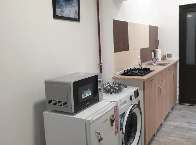 Appartamento Casa Cinema Braşov che accetta animali
