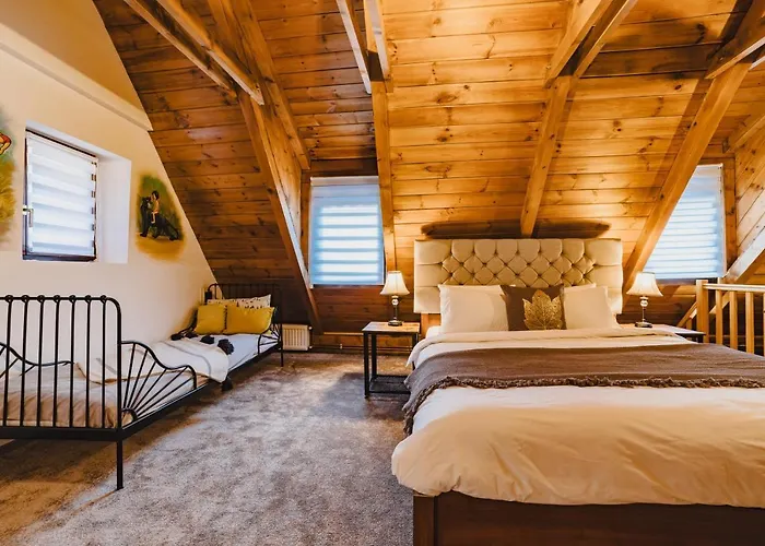Albert Residence Brasov With Complimentary Parking Off Site che accetta animali