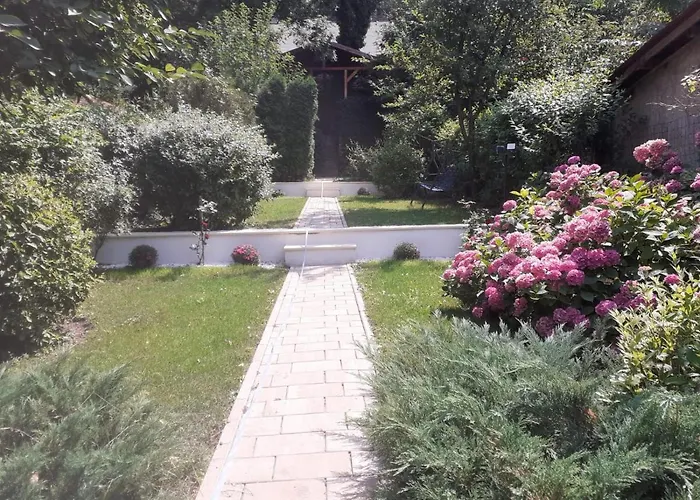 Villa Casa Emy Braşov che accetta animali