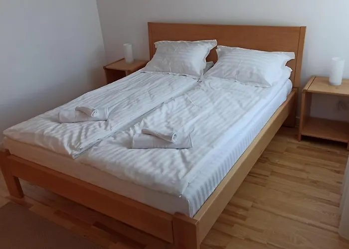 Haustierfreundliches Ferienwohnung Chrysanthemum Sighişoara