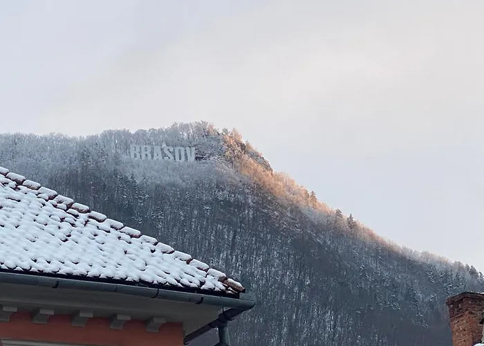 White Moon Apartment Braşov che accetta animali