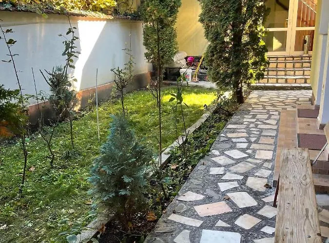 Pet friendly Casa Floraly Hotel Brasov