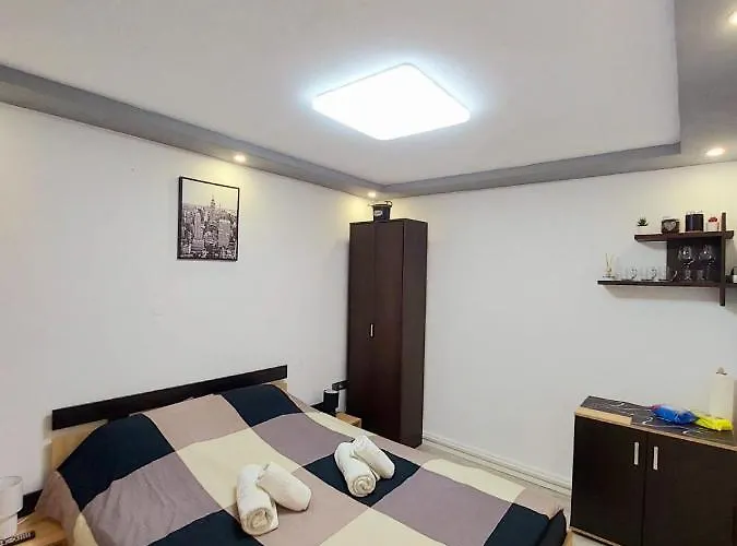 Pet friendly Domino Studio Apartment Sibiu