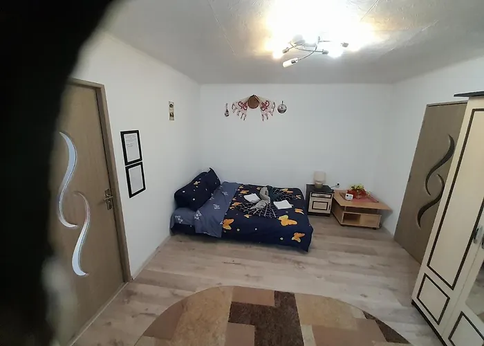 Haustierfreundliches Florin Apartament Sighişoara