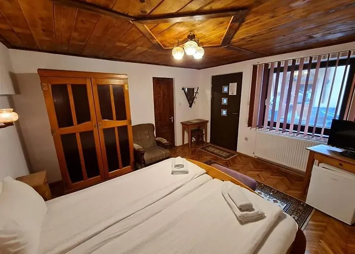 Pensiunea Otilia Sighişoara