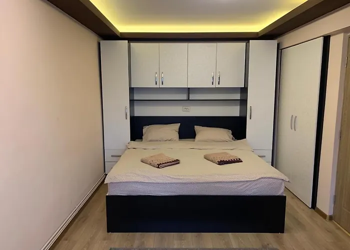 Pet friendly Garsoniera Natalia Apartment Sibiu