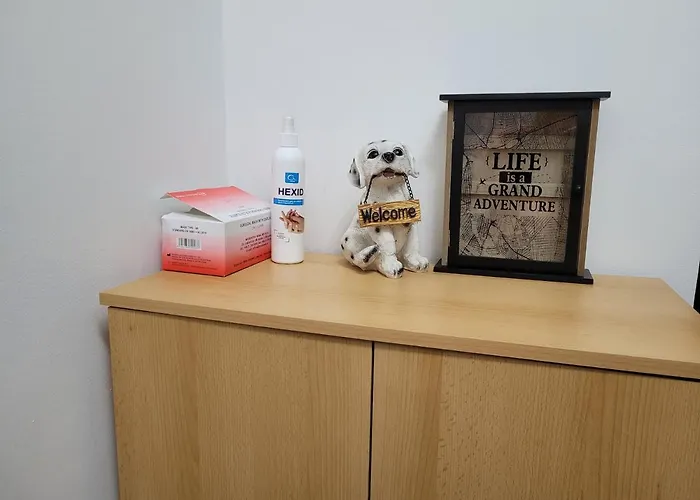 Pet friendly Andi Apartment Sibiu