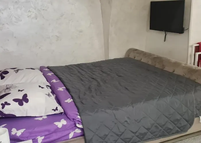 Arcade- Studio Republicii Apartamento Braşov admite animales