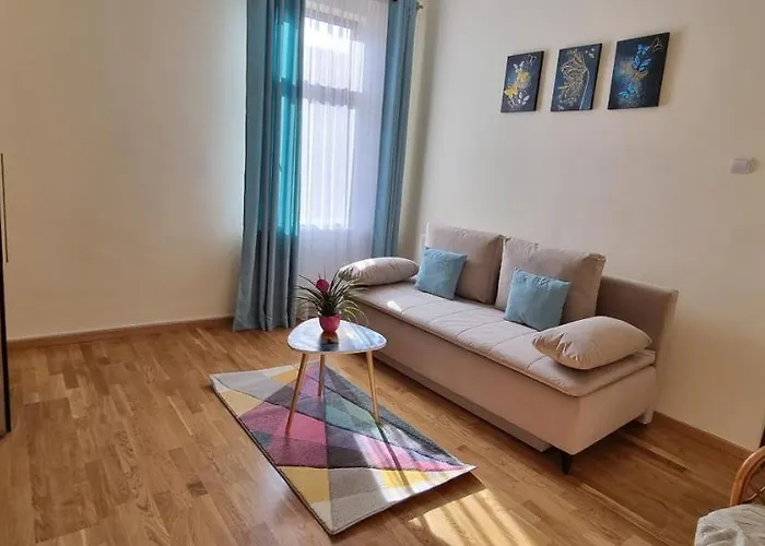 Happy Mood Apartments Brasov