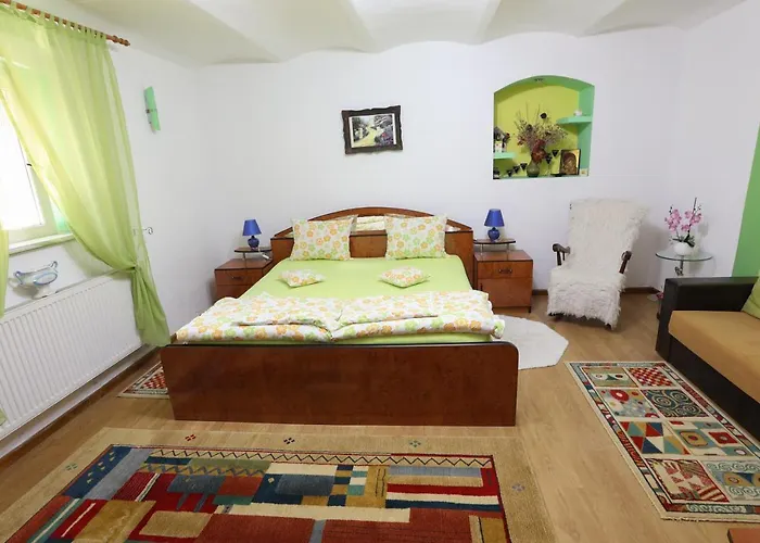 Haustierfreundliches Ferienwohnung Casa Ianna Hermannstadt