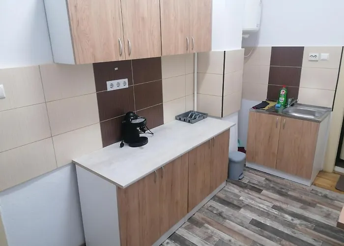 Studio Ultracentral Sibiu admite animales