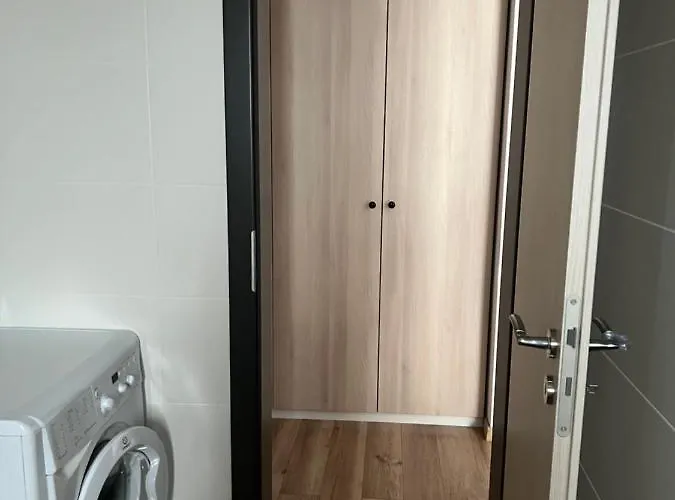 Cozy Home 2 Sibiu admite animales