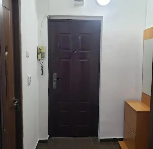 Studio Ris Harmanului Brasov Centrul Nou Appartamento che accetta animali