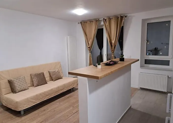 Studio Ris Coresi Braşov admite animales