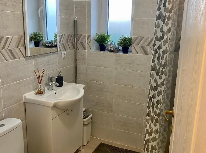 Pet friendly Apartament Irina Brasov