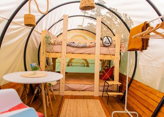 Pet friendly Dragonfly Gardens - The Wagons Hotel Brasov