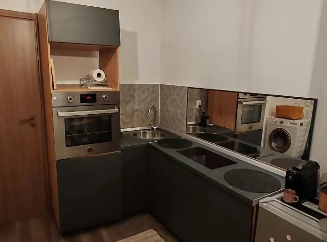 Ferienwohnung Studio Grigio Hermannstadt