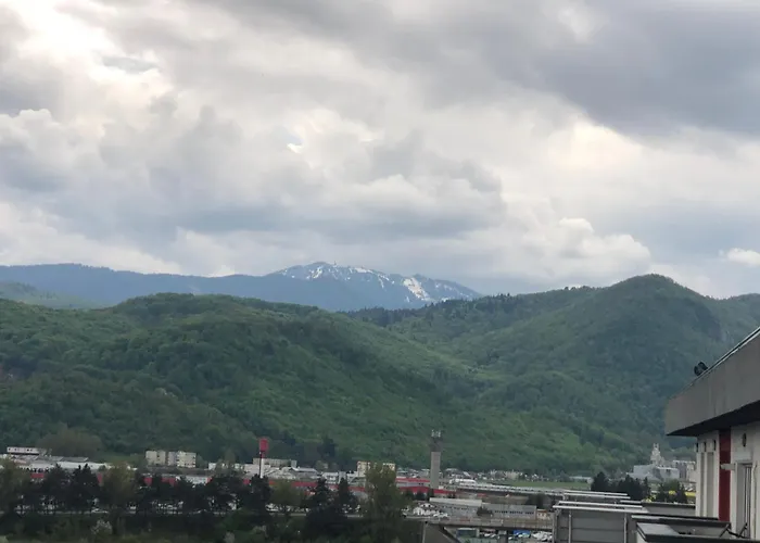 Pet friendly Penthouse Buenavista Apartment Brasov