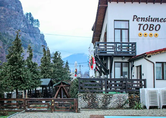 Hundefreundliche Hotels in Rumänische Karpaten
