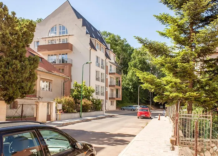 Central Premium Apartment Braşov che accetta animali