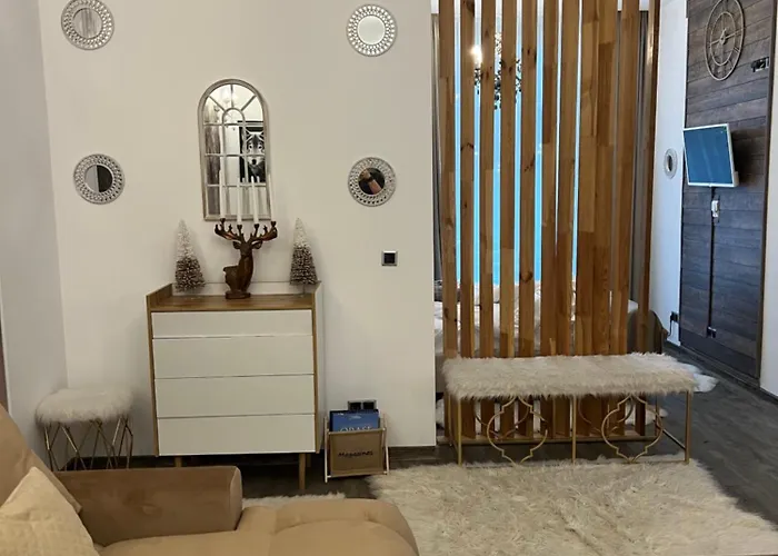 Pet friendly Aki Studio Silver Mountain Poiana Brasov
