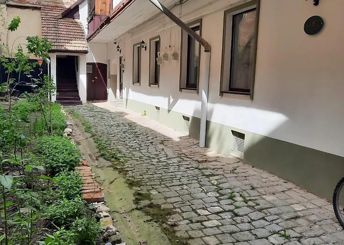 Kron Studio Kalista Braşov che accetta animali