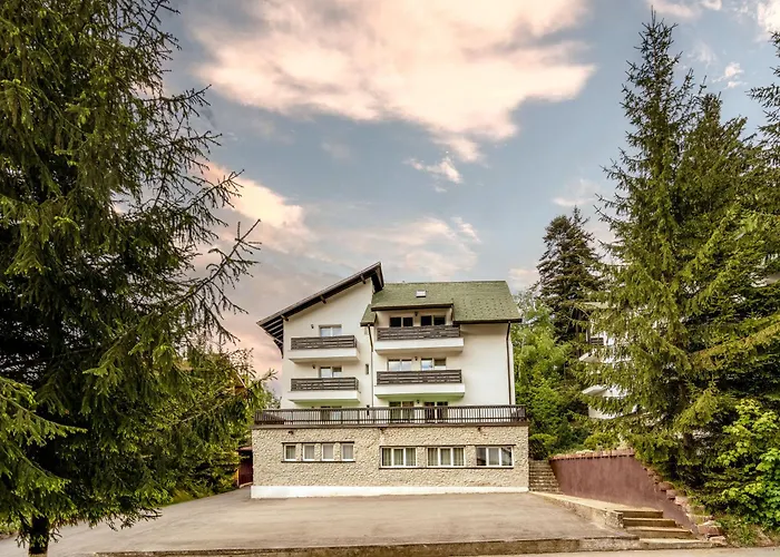 Pet friendly Dinvis Apartments Poiana Brasov