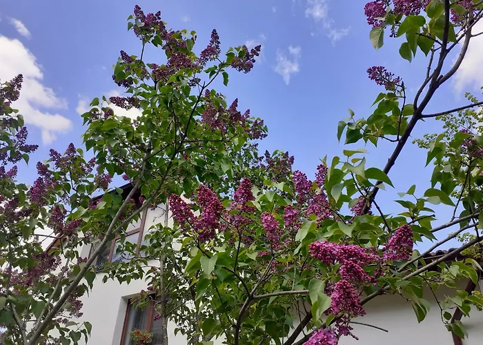 Ferienwohnung R-House Brașov