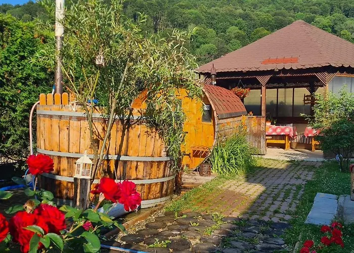 Poiana Cristian Hotel Poiana Brasov