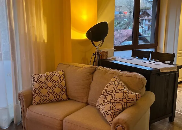 Xili'S Central Apartment, Netflix & Free Parking Braşov admite animales