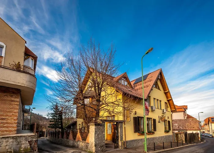 Pension Brasovu Vechi