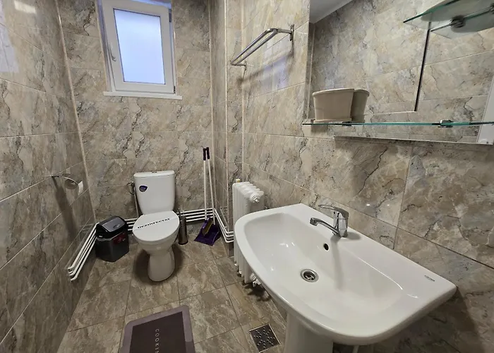 Pet friendly Rodica Apartment Sibiu