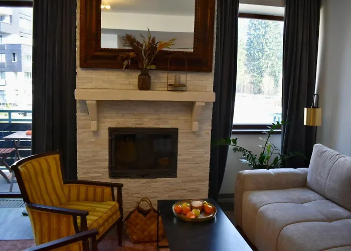 Pet friendly Luxury Mountain Apartment Poiana Brasov