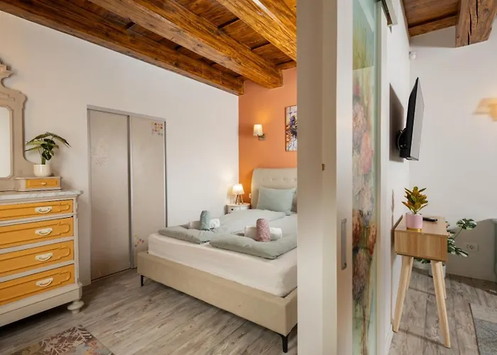 Seek And Hide - Little Julia'S Hideaway Braşov admite animales