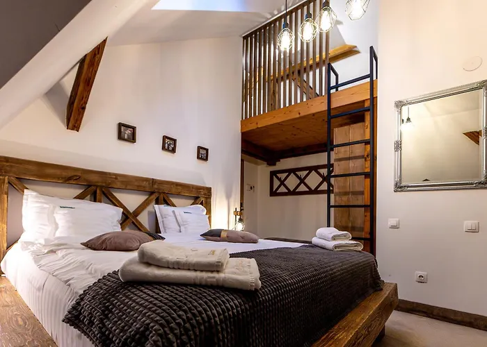 Haustierfreundliches Hotel Wanderer Sighişoara
