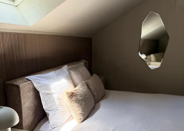 Zettapartment With 2Ensuite Baths, Free Parking In The Old City Braşov admite animales