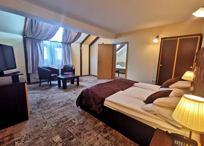 Pensiunea Ambient Braşov