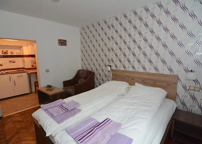 Haustierfreundliches Apartament Supercentral Hermannstadt