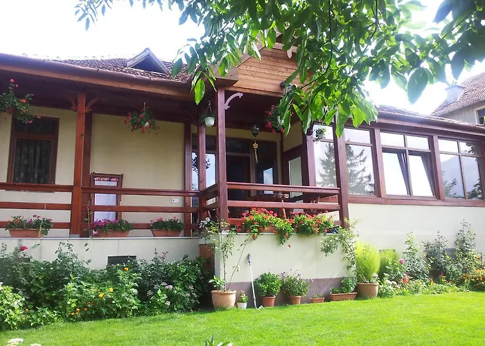Apartamento Casa Marius Braşov admite animales