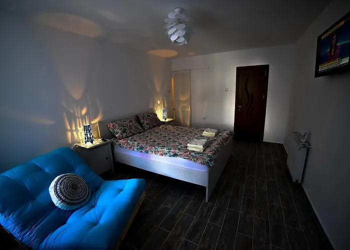 Pet friendly Old City Studio Sibiu