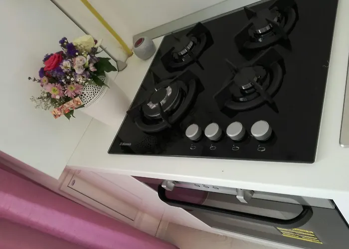 White Luxury Apartment Sibiu admite animales