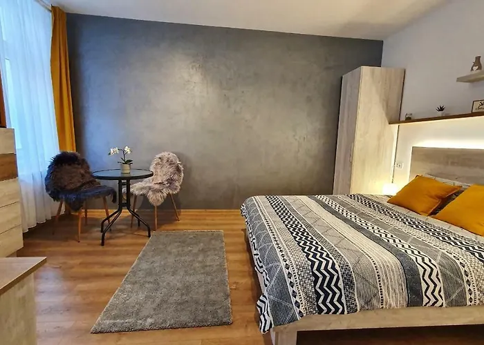 Jules Studio Downtown Braşov che accetta animali