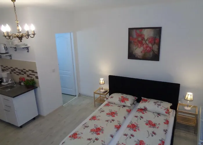 Haustierfreundliches Alexandra Studios Hermannstadt